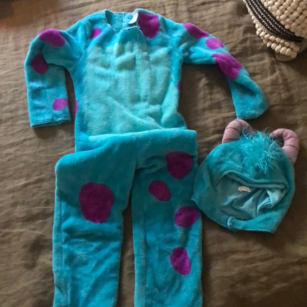 Disney Sully Costume.